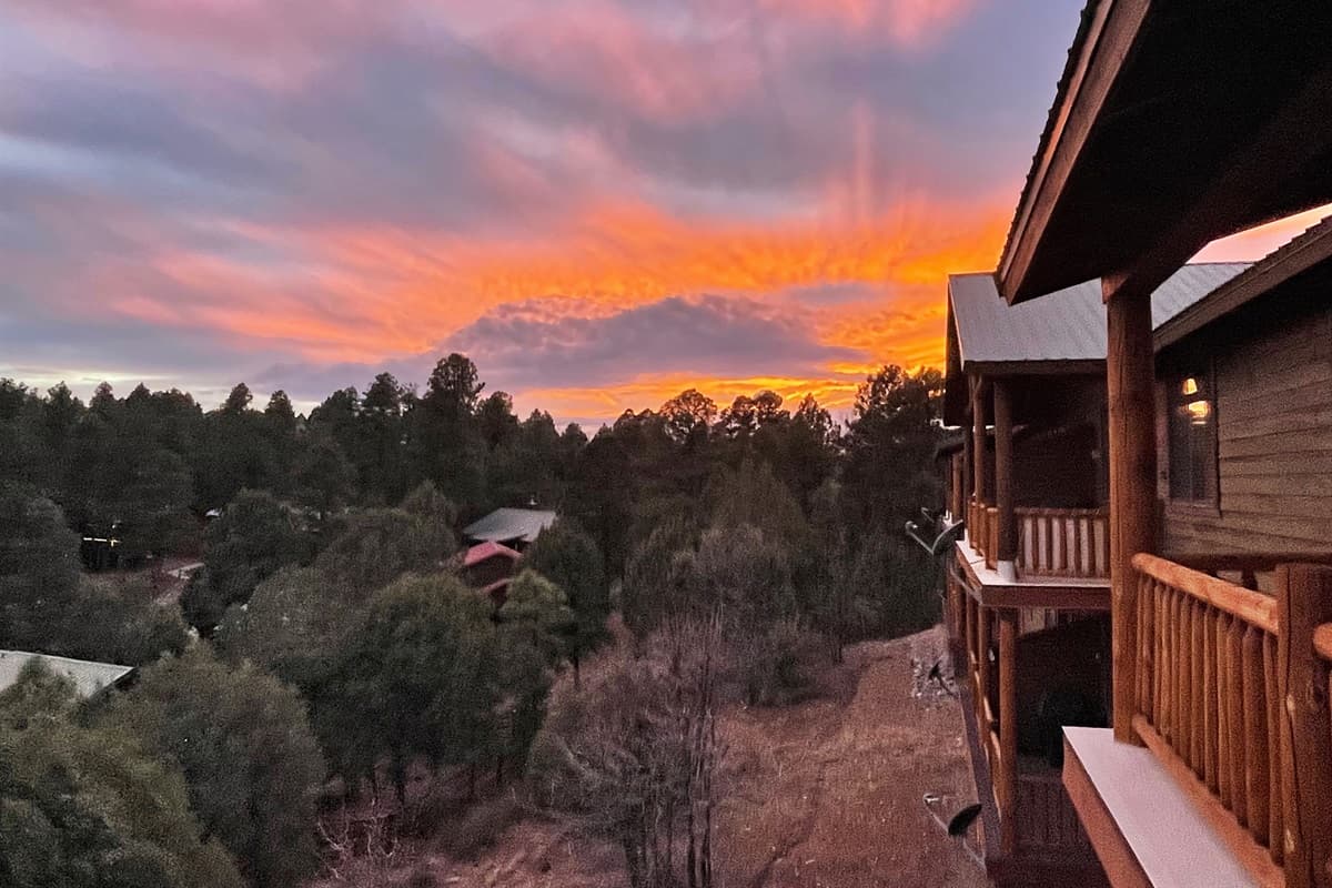 Treetop Terrace — photo 5
