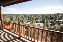 Cozy Cabin | Forest Views | Dog-Friendly