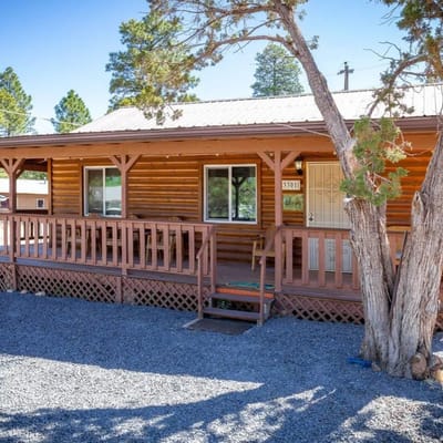 Cozy Pet-Friendly Cabin in the Pines | Fenced Yard