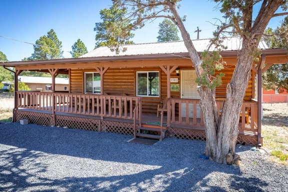 Cozy Pet-Friendly Cabin in the Pines | Fenced Yard
